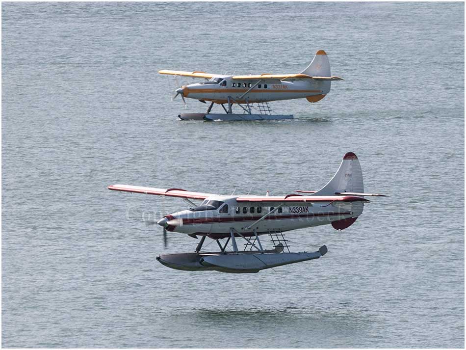 de Havilland turbo beaver